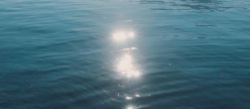 THE SHIMMERING DEPTHS OF THE HEART thumbnail