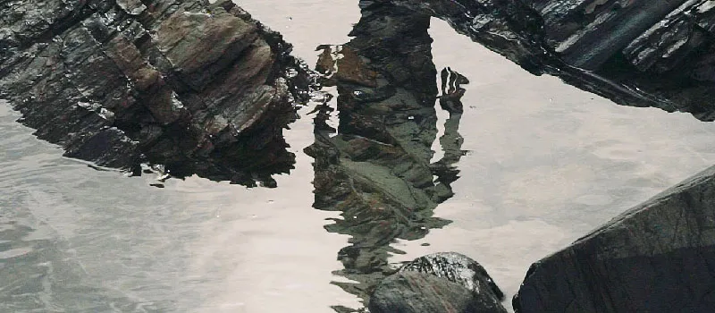 NELSON DIALECT - 2 TRAIN WITH THE 7 thumbnail