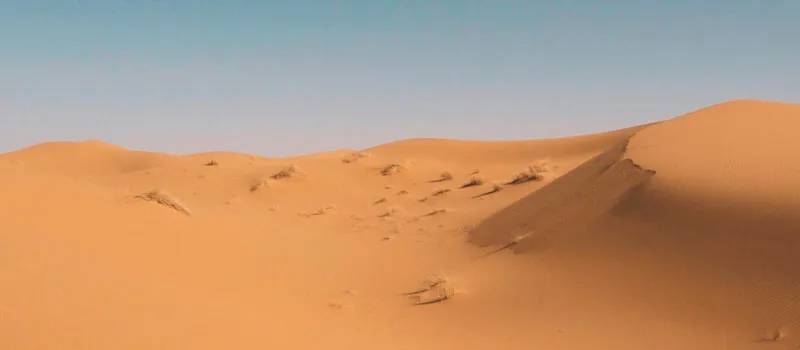 VIENNA WAITS FOR YOU thumbnail