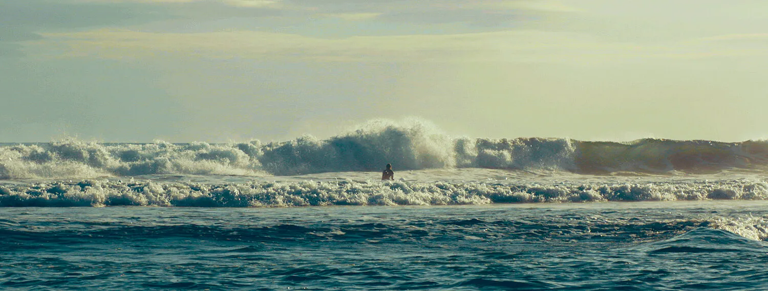 ADAM RICKFORS - SOMEONE LIKE YOU - NIMA NABILI RAD - image 7