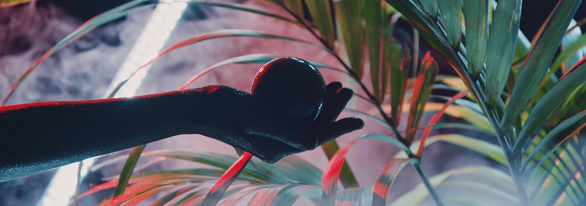 CASIO X SNEAKER FREAKER - GSHOCK NIGHT OWL - NIMA NABILI RAD - image 1