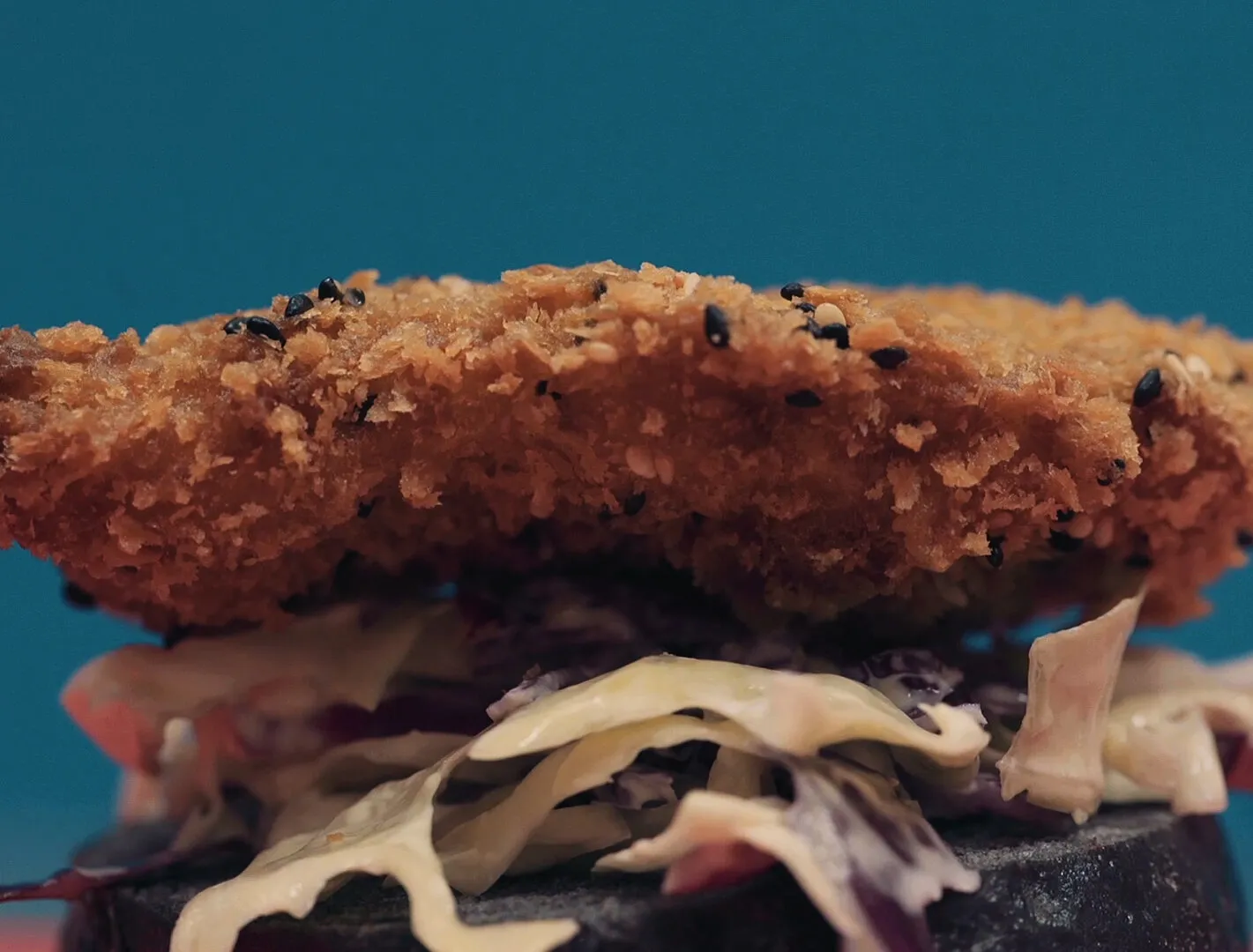 CHU CHU - DIGITAL CONTENT - NIMA NABILI RAD - image 3