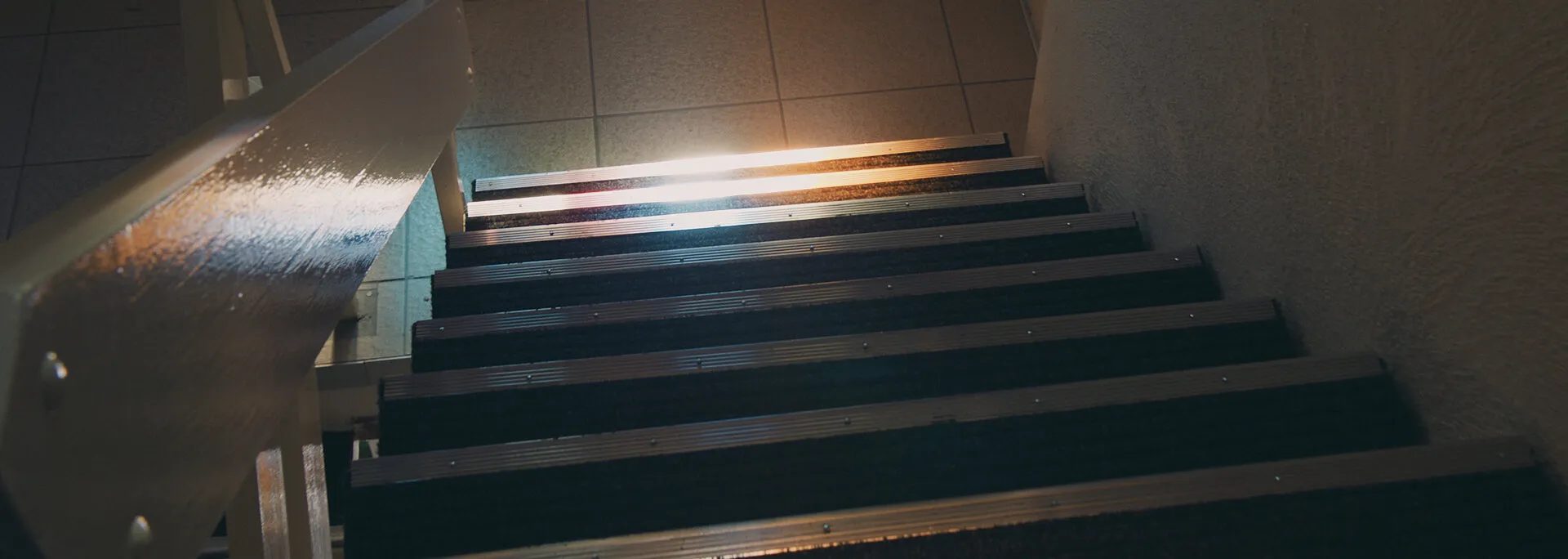 FAVORED NATIONS - I CAN SEE YOU - NIMA NABILI RAD - image 7