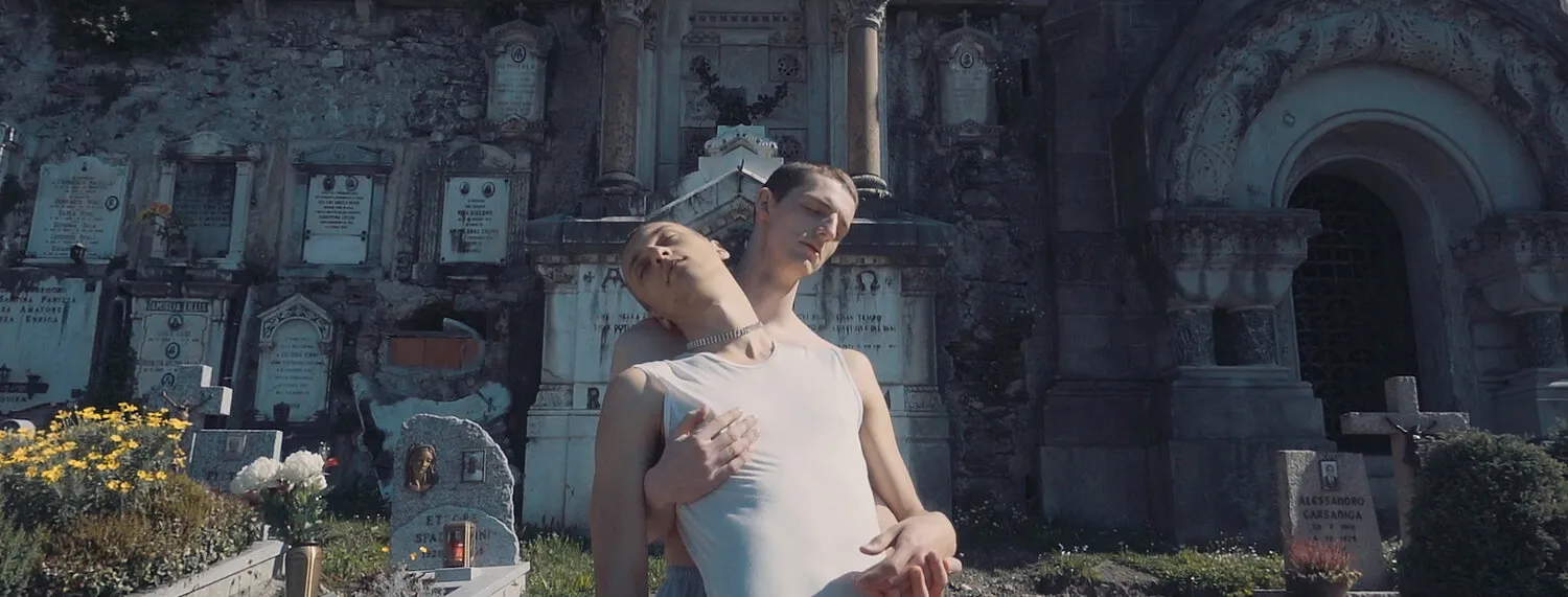 IN THE SHADOW OF YOUNG BOYS IN FLOWER - NIMA NABILI RAD - image 10