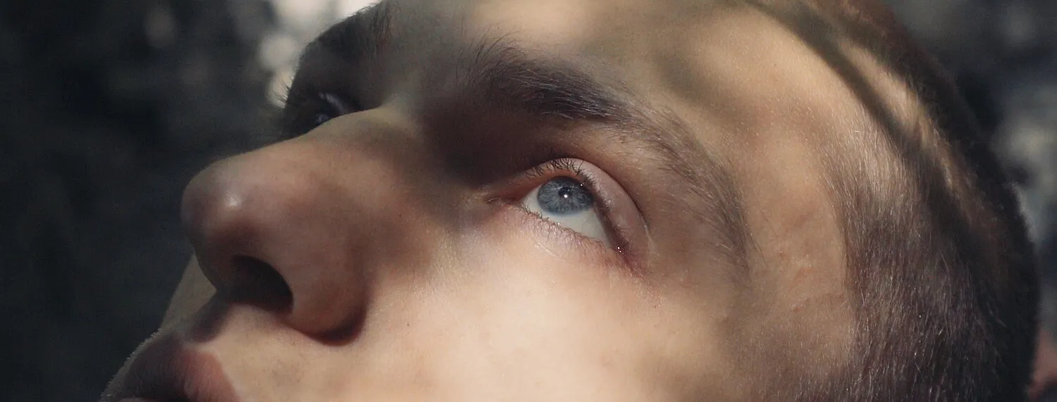 IN THE SHADOW OF YOUNG BOYS IN FLOWER - NIMA NABILI RAD - image 4