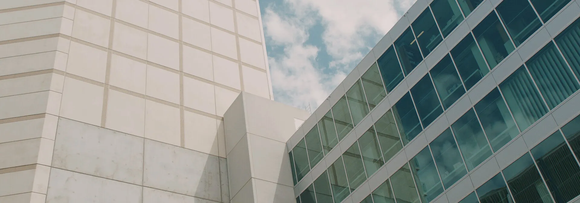 LUKE MILLION - ARCHETYPE - NIMA NABILI RAD - image 9