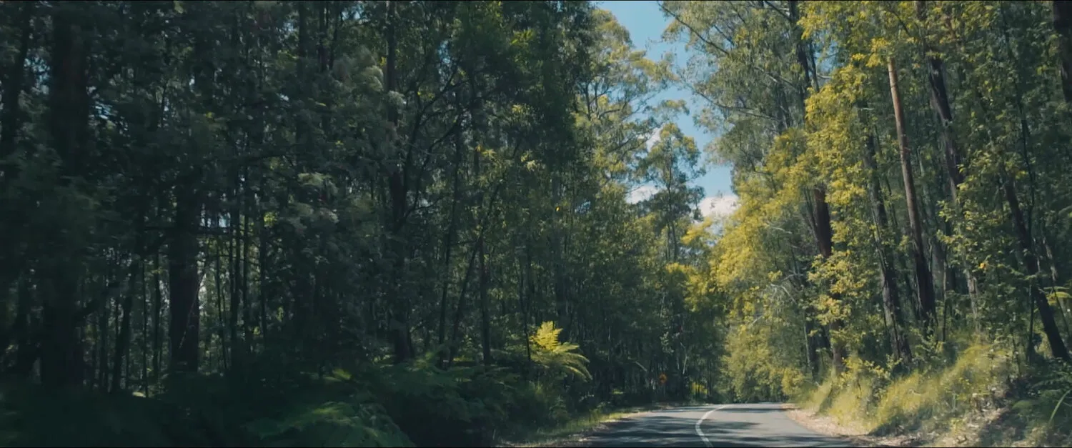 LVNDSCAPE - WATERFALLS - NIMA NABILI RAD - image 5