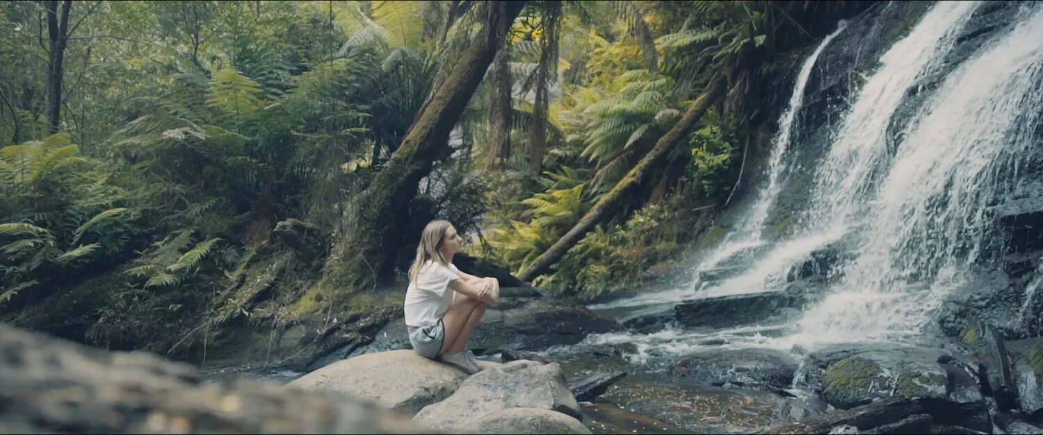 LVNDSCAPE - WATERFALLS - NIMA NABILI RAD - image 6