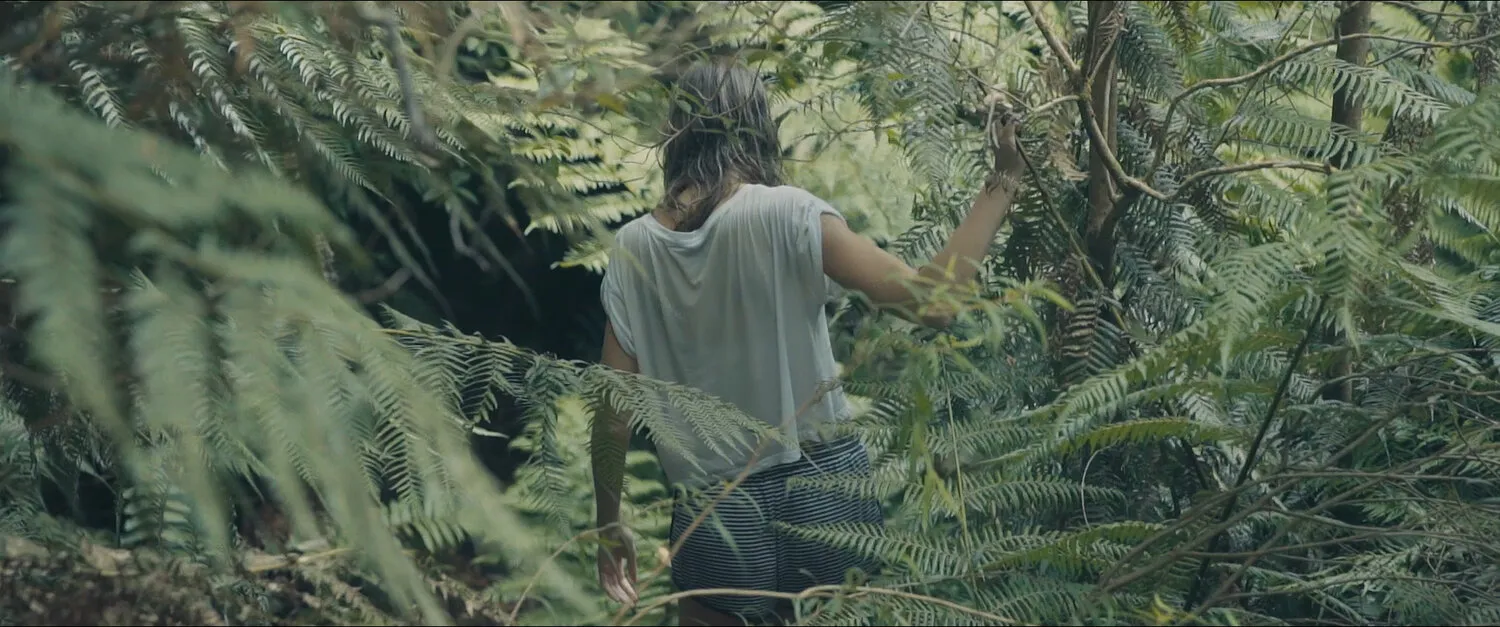 LVNDSCAPE - WATERFALLS - NIMA NABILI RAD - image 7