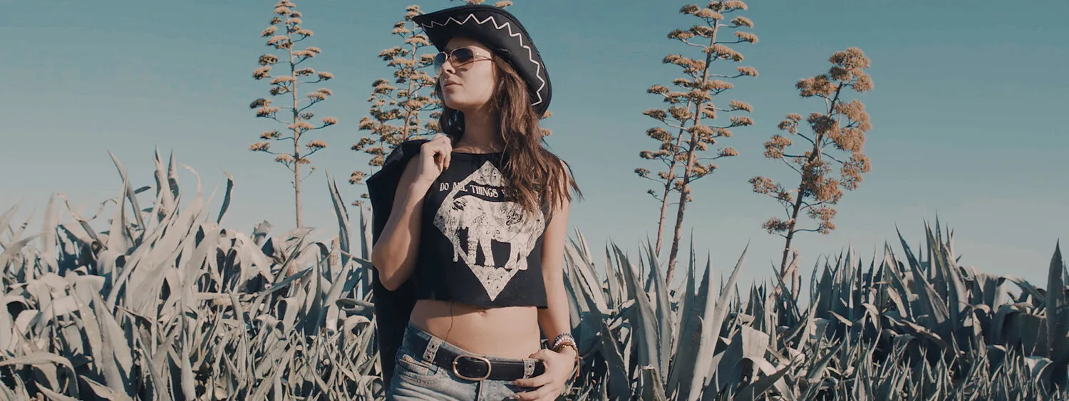 PEP & RASH - RED ROSES - NIMA NABILI RAD - image 3