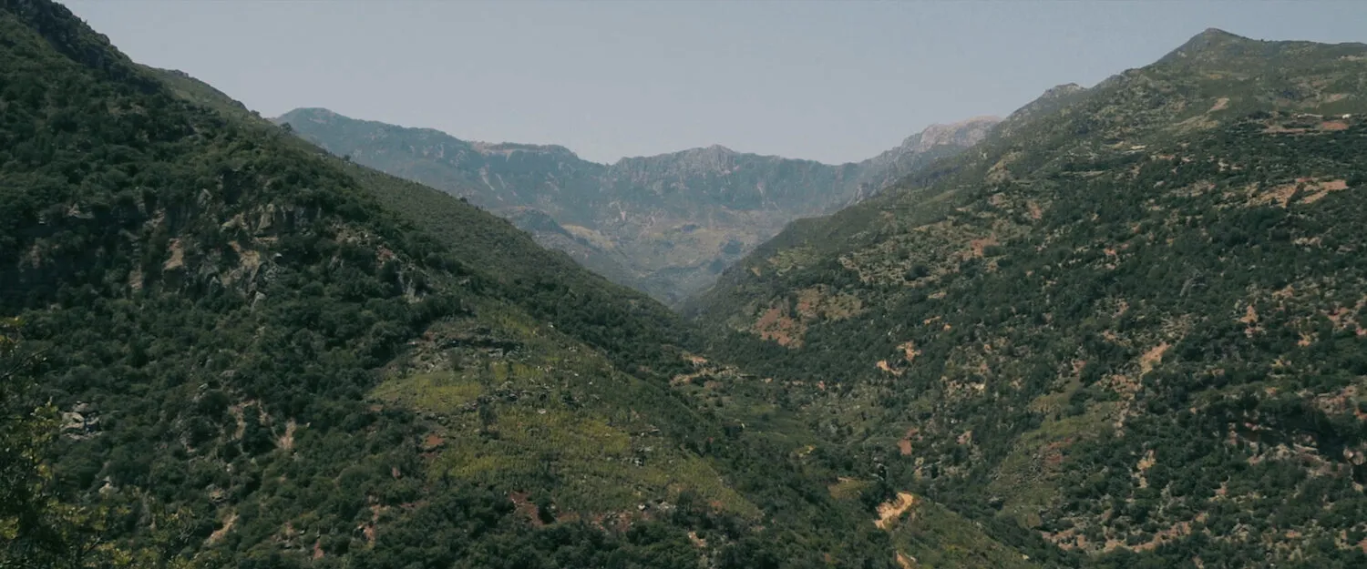 VIENNA WAITS FOR YOU - NIMA NABILI RAD - image 2