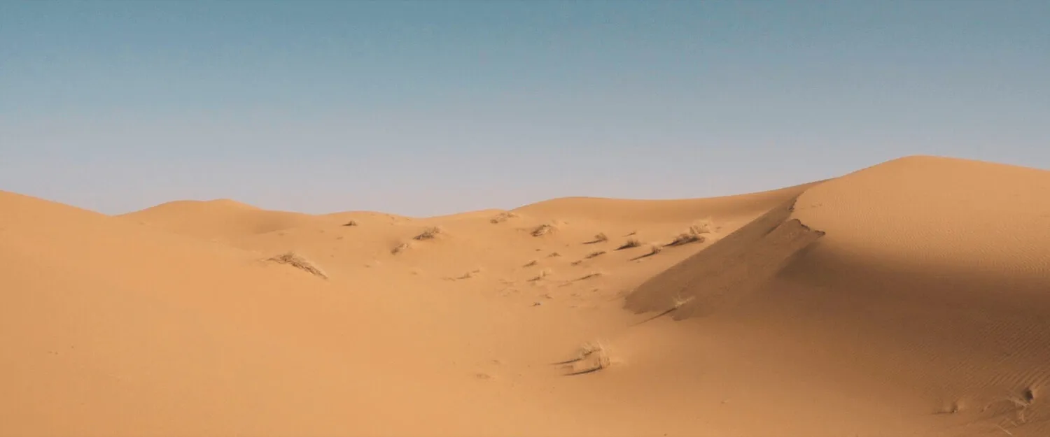 VIENNA WAITS FOR YOU - NIMA NABILI RAD - image 3